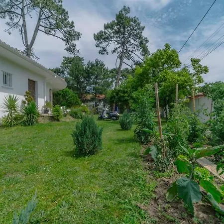 Villa Villa Avec Piscine Proche De La Plage, Chiberta Anglet